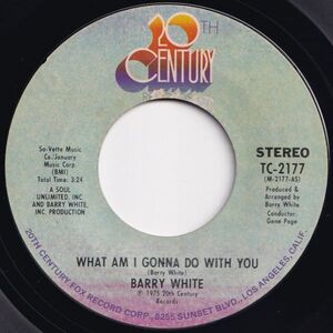 Barry White What Am I Gonna Do With You 20th Century US TC-2177 204498 SOUL DISCO ソウル ディスコ レコード 7インチ 45