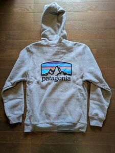 patagonia パタゴニア フィッツロイ・ホライゾンズ・アップライザル・フーディ　タグ付き