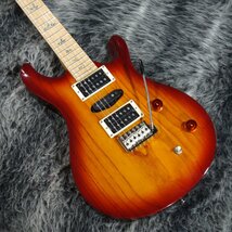 Paul Reed Smith SE Swamp Ash Special 22 Vintage Sunburst_画像1