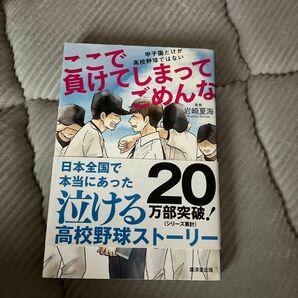 ここで負けてしまってごめんな　甲子園だけが高校野球ではない 岩崎夏海／監修