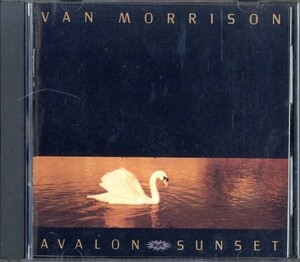 即決・送料無料(2点で)◆ヴァン・モリソン Van Morrison◆Avalon Sunset◆Have I Told You Lately I'm Tired Joey Boy◆名盤/Y(a9564)