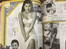 ◇昭和雑誌　1960年代から80年代　週刊誌色々　10冊　平凡パンチ　明星　週刊女性他_画像9