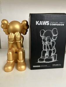 KAWS COMPANION カウズ　コンパニオン