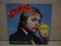 LP[SSW] AMOS GARRETT 参加 MARTIN MULL NORMAL マーティン・マル_画像1