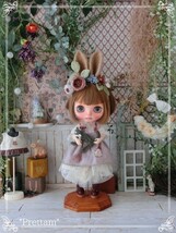 *Prettam*カスタムブライス＊。・*Sweet Lolita ×　Garden Rabbit//....*.。・＊_画像5