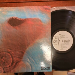 PROMO sample 見本盤 Pink Floyd Meddle ピンク フロイド おせっかい record レコード LP アナログ vinyl