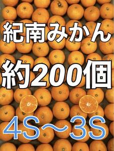 y164 紀南みかん 200個ぐらい 箱込み10kg 小玉ミニサイズ フルーツショップキルトパッチ店　和歌山県(22)