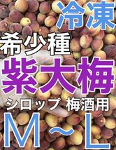 y071 クール便「冷凍紫大梅」2kg L〜Mサイズ 青梅系 梅酒 シロップ用(梅干し不可)キルトパッチ梅店(22)_画像1