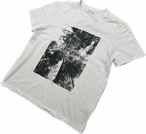 Calvin Klein ☆ 自然 森林 フォト Tシャツ 半袖 ホワイト 白 XL 春夏 アメカジ 大人カジュアル ストリート 古着 カルバンクライン■S2604