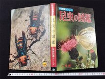 Ｐ△*　学習図鑑シリーズ②　昆虫の図鑑　著・古川晴男・中山周平　昭和44年　小学館　函なし　/A05_画像1