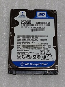 Western Digital ウエスタンデジタル 内蔵 HDD 2.5インチ WD2500BEVT 250GB