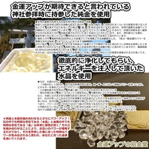 【財運】最強金運波動オルゴナイト（シトリン）【金運アップの招金堂】パワーストーン置物／神社最強グッズ／金運財運開運風水／008_画像4