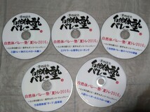 草野健次　自然体バレー塾　DVD 13枚_画像2