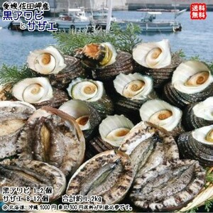 黒アワビ1~2個150~200g サザエ8~12個900~1000g 愛媛 浜から直送 送料無料 北海道・沖縄・東北は別途送料 宇和海の幸問屋