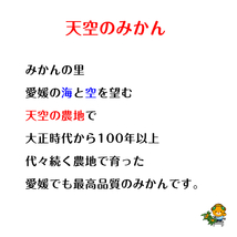 天空のみかん 訳あり 10kg サイズフリー 愛媛 八幡浜 川上産 農地直送 送料無料 北海道/沖縄/東北は別途送料 宇和海の幸問屋_画像7