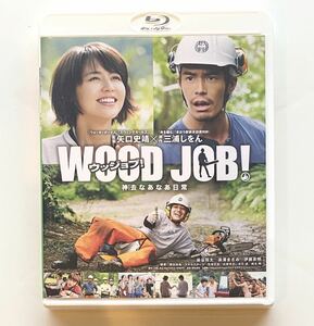 ★美品 WOOD JOB! 神去なあなあ日常/ Blu-ray エンタメドラマ 長澤まさみ 伊藤英明 染谷将太 ウッジョブ★