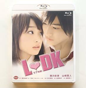 ★美品 LDK ラブ同居 / Blu-ray 恋愛 山崎賢人 剛力彩芽★