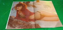 昭和の切り抜き16P　新山千春　　菅野美穂。_画像2