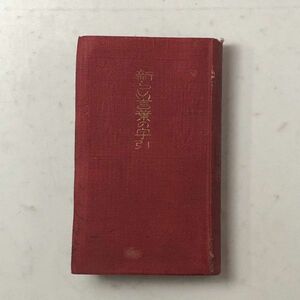 【昔の字典】「新らしい言葉の字引」1918年　服部嘉香 植原路郎[共]著、実業之日本社　502ページ ☆戦前 辞書 字典　B1y