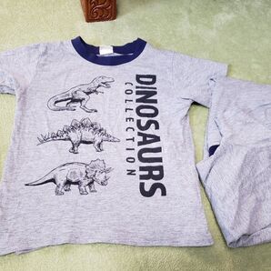 恐竜 Tシャツ 兄弟