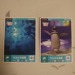 ロゲットカード すみだ水族館　2種　2枚セット 記念カード　ペンギン　クラゲ　水族館　隅田　墨田　LoGetCARD　コレクション