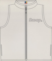 SMAP スマップ / Smap Vest スマップ ヴェスト / 2001.03.23 / ベストアルバム / 通常盤 / 2CD / VICL-60726-7_画像2