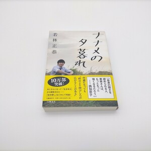 ナナメの夕暮れ　オードリー　若林正恭