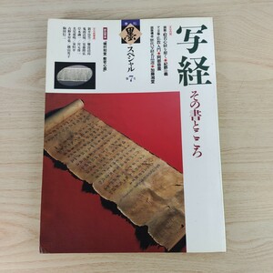 B2311079 季刊 墨スペシャル 第7号 1991年4月5日発行 写経 その書とこころ 折込手本 植村和堂 般若心経 芸術新聞社 古本 