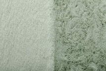 イケヒコ ラグ カーペット マット 長方形 ラピアス ピスタチオグリーン 約95×185cm シンプル 無地 やわらか ふかふか ソフトタッチ_画像2