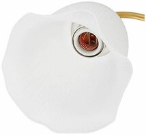 大光電機 DAIKO LEDブラケットライト ランプ付 LED電球 4.3W（E26） 電球色 2700K 電気工事必要 ホワイト_画像3