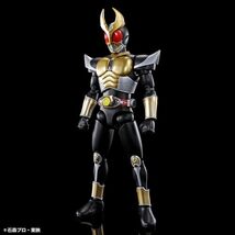 BANDAI SPIRITS(バンダイ スピリッツ) フィギュアライズスタンダード 仮面ライダーアギト グランドフォーム 色分け済みプラモデル_画像3