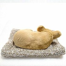 TATOTTE 犬のぬいぐるみ リアル 置物 寝顔が可愛いわんこ 活性炭入り 癒し インテリア(チワワ CR)_画像3