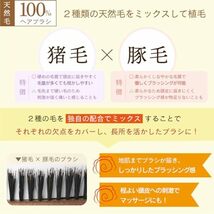 ベスVESS 【日本製】 老舗業務用メーカーが作る 美容師さんの天然豚毛100％【地肌の痛くないブラシ】 アウトレット_画像3