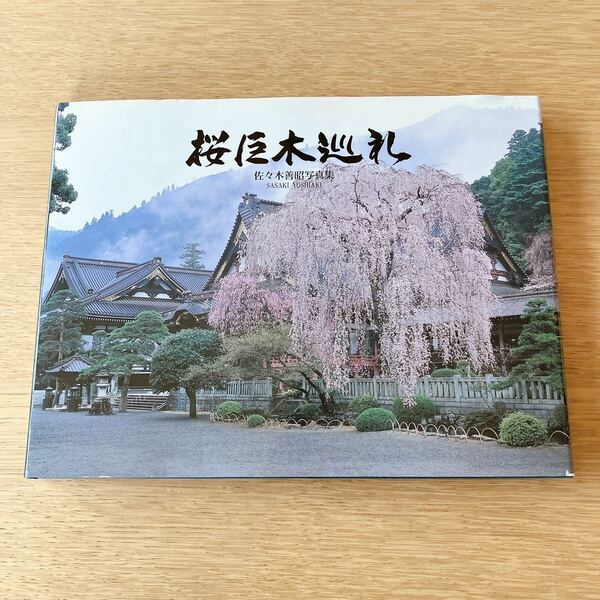写真集 桜巨木巡礼 佐々木善昭 風景 景色 日本 サイン付き サイン本