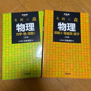 名問の森 物理 力学・熱・波動Ⅰ 波動Ⅱ・電磁気・原子　２冊セット