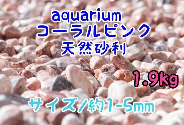 コーラルピンク 天然 砂利1-5mm 1.9kg アクアリウム メダカ 熱帯魚 金魚 グッピー レイアウト