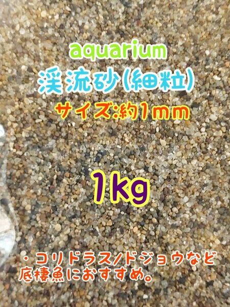 特選 渓流砂 1kg 金魚 メダカ コリドラス アクアリウム　ドジョウ ローチ