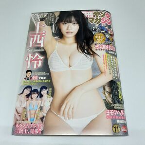 月刊ヤングマガジン 2023年11月号 【ヤングマガジン増刊】