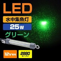 水中集魚灯 LED 12v専用 グリーン 25w イカ釣り アジ メバル タチウオ 夜釣り ライト シラスウナギ 漁 道具 緑 発光 2880ルーメン 集魚灯_画像1