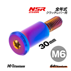 チタンボルト M6×30 P1.0 焼き色 1本 ピポットボルト スレッド 14mm ホンダ NSR250 ハンドル クラッチ レバー ボルト バイク レストア