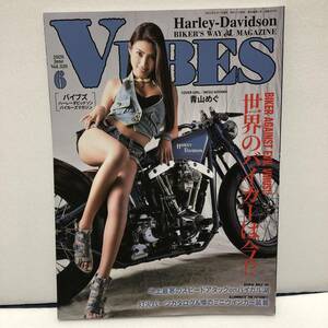 VIBES (バイブズ) 2020年6月号 (vol.320) カバーガール★青山 めぐ★BIKER AGAINST EVIL VIRUS!! 世界のバイカーは今!?