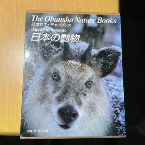 日本の生物 旺文社ネイチャーブック 図鑑