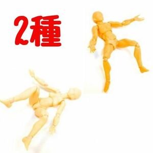 Art hand Auction [2 Types] Drawing Doll Children Skin Color Anime Drawing Model Human Body Model Female Male Body-chan Body-kun Body Movable Figure Painting Model, hobby, culture, art supplies, others
