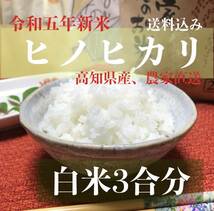 令和五年新米 高知県産「ヒノヒカリ」お試し！白米3合分_画像1