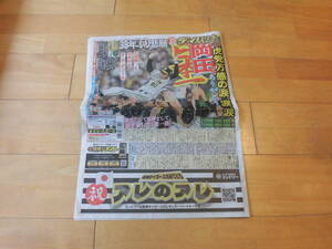 ディリースポーツ新聞　2023年(令和5年）11月5日(月)阪神タイガース日本一