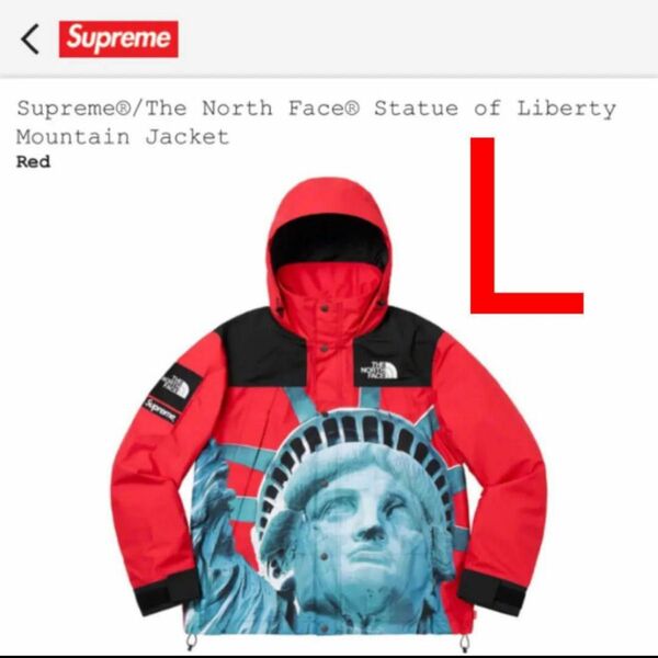 supreme/The North Face Statue of Liberty Mountain Jacket