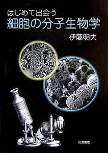 [A01075933]はじめて出会う細胞の分子生物学 明夫，伊藤