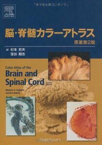 [A01303252]脳・脊髄カラーアトラス 原著第2版