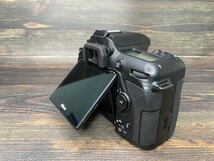 Nikon ニコン D7500 ボディ デジタル一眼レフカメラ 元箱付き #66_画像8