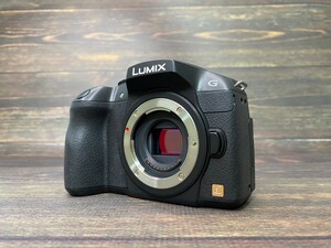 Panasonic パナソニック LUMIX DMC-G6 ボディ ミラーレス一眼カメラ #73